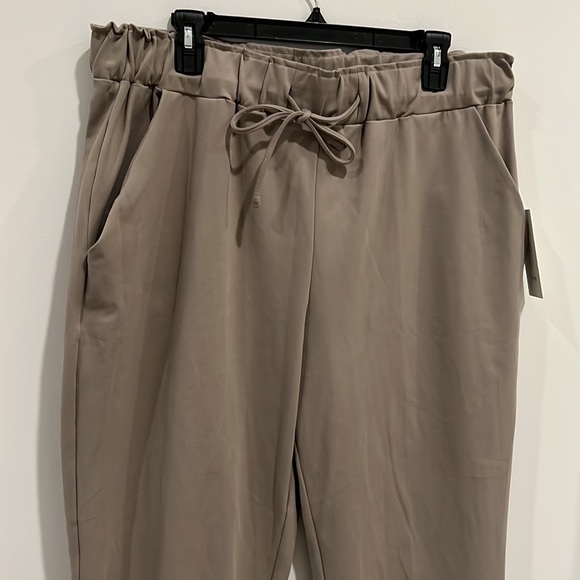 Joie Open Leg Drawstring Tie Waist Pant in a Grey Beige Color NWT Women’s XL - Picture 2 of 8